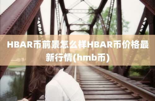 HBAR币前景怎么样HBAR币价格最新行情(hmb币)