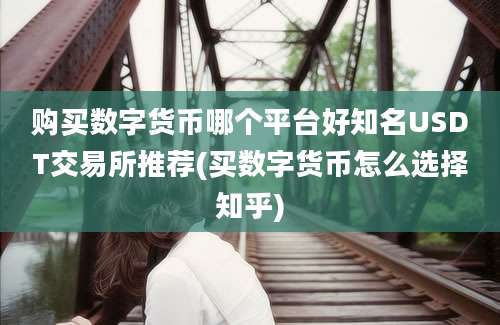 购买数字货币哪个平台好知名USDT交易所推荐(买数字货币怎么选择知乎)