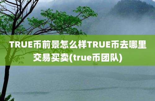 TRUE币前景怎么样TRUE币去哪里交易买卖(true币团队)