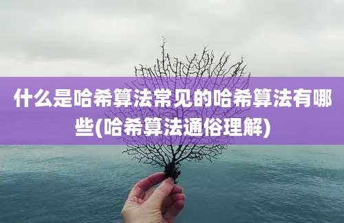 什么是哈希算法常见的哈希算法有哪些(哈希算法通俗理解)