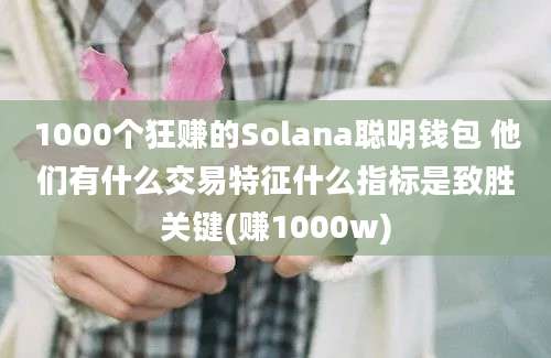 1000个狂赚的Solana聪明钱包 他们有什么交易特征什么指标是致胜关键(赚1000w)