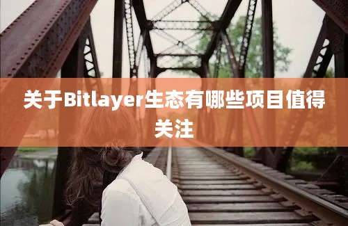 关于Bitlayer生态有哪些项目值得关注