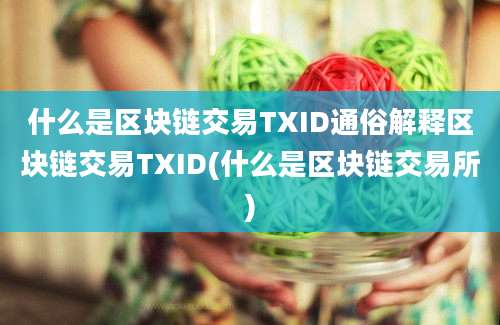 什么是区块链交易TXID通俗解释区块链交易TXID(什么是区块链交易所)