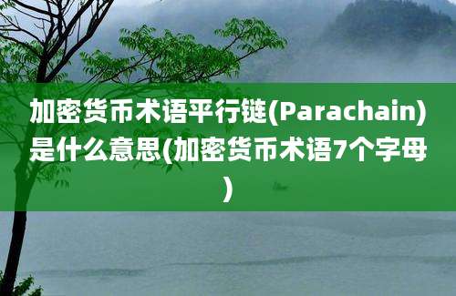 加密货币术语平行链(Parachain)是什么意思(加密货币术语7个字母)