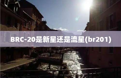 BRC-20是新星还是流星(br201)