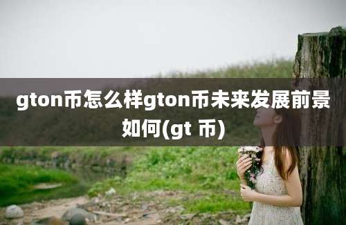 gton币怎么样gton币未来发展前景如何(gt 币)