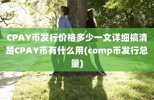 CPAY币发行价格多少一文详细搞清楚CPAY币有什么用(comp币发行总量)