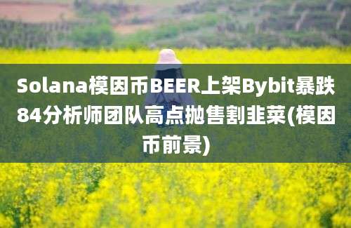 Solana模因币BEER上架Bybit暴跌84分析师团队高点抛售割韭菜(模因币前景)