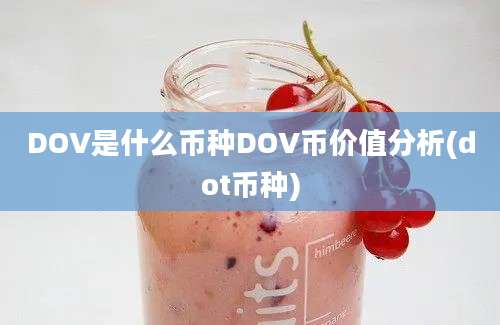 DOV是什么币种DOV币价值分析(dot币种)