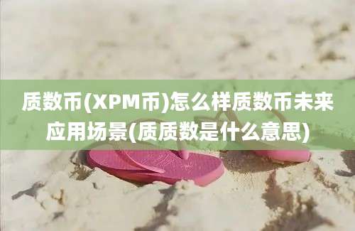 质数币(XPM币)怎么样质数币未来应用场景(质质数是什么意思)