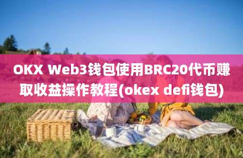 OKX Web3钱包使用BRC20代币赚取收益操作教程(okex defi钱包)