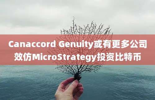 Canaccord Genuity或有更多公司效仿MicroStrategy投资比特币