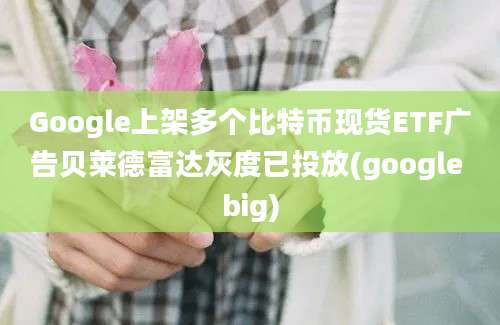 Google上架多个比特币现货ETF广告贝莱德富达灰度已投放(google big)