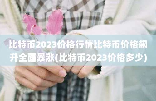 比特币2023价格行情比特币价格飙升全面暴涨(比特币2023价格多少)