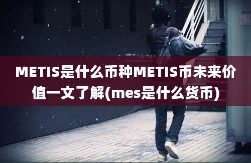 METIS是什么币种METIS币未来价值一文了解(mes是什么货币)