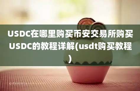 USDC在哪里购买币安交易所购买USDC的教程详解(usdt购买教程)