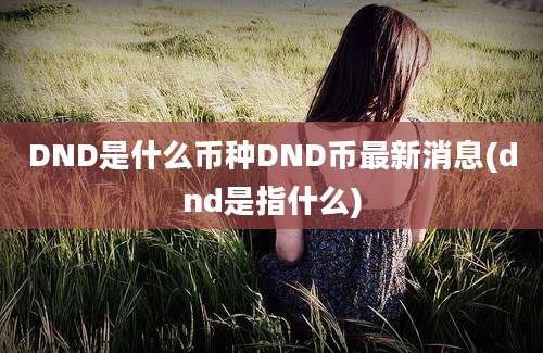 DND是什么币种DND币最新消息(dnd是指什么)