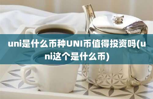 uni是什么币种UNI币值得投资吗(uni这个是什么币)