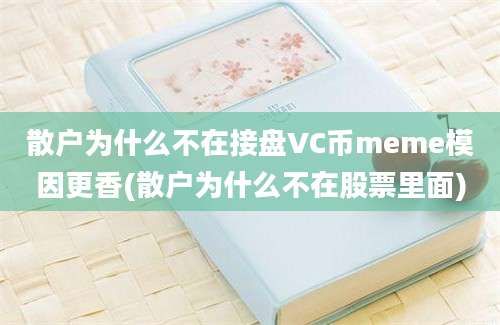 散户为什么不在接盘VC币meme模因更香(散户为什么不在股票里面)