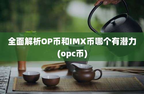 全面解析OP币和IMX币哪个有潜力(opc币)