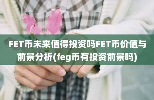 FET币未来值得投资吗FET币价值与前景分析(feg币有投资前景吗)