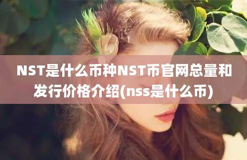 NST是什么币种NST币官网总量和发行价格介绍(nss是什么币)