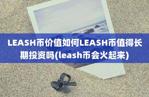 LEASH币价值如何LEASH币值得长期投资吗(leash币会火起来)