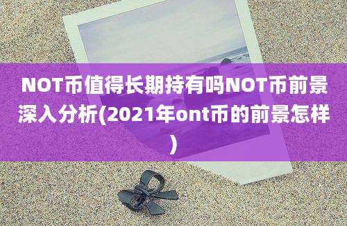 NOT币值得长期持有吗NOT币前景深入分析(2021年ont币的前景怎样)