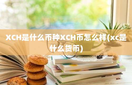 XCH是什么币种XCH币怎么样(xc是什么货币)