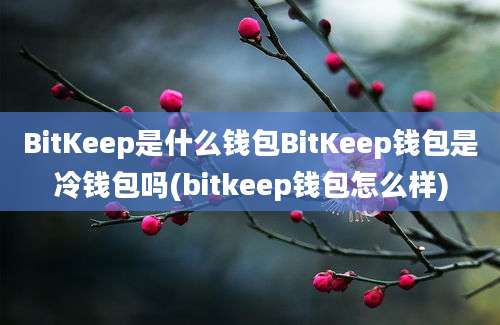 BitKeep是什么钱包BitKeep钱包是冷钱包吗(bitkeep钱包怎么样)