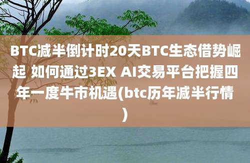 BTC减半倒计时20天BTC生态借势崛起 如何通过3EX AI交易平台把握四年一度牛市机遇(btc历年减半行情)