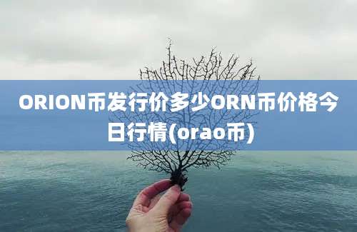 ORION币发行价多少ORN币价格今日行情(orao币)