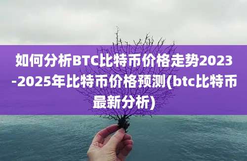 如何分析BTC比特币价格走势2023-2025年比特币价格预测(btc比特币最新分析)