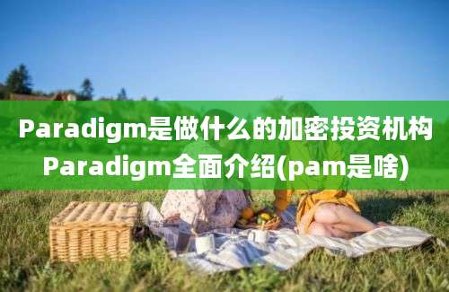 Paradigm是做什么的加密投资机构Paradigm全面介绍(pam是啥)