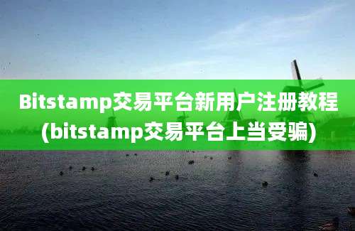 Bitstamp交易平台新用户注册教程(bitstamp交易平台上当受骗)