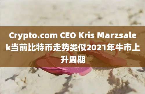 Crypto.com CEO Kris Marzsalek当前比特币走势类似2021年牛市上升周期