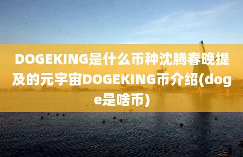 DOGEKING是什么币种沈腾春晚提及的元宇宙DOGEKING币介绍(doge是啥币)