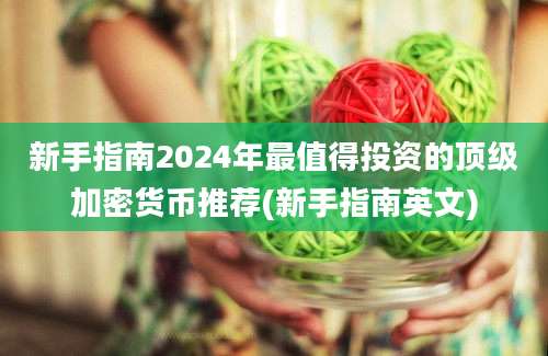 新手指南2024年最值得投资的顶级加密货币推荐(新手指南英文)