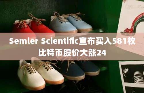 Semler Scientific宣布买入581枚比特币股价大涨24