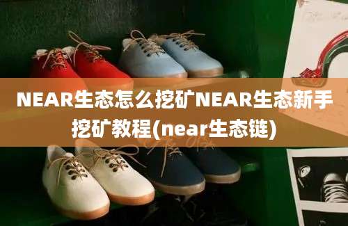 NEAR生态怎么挖矿NEAR生态新手挖矿教程(near生态链)