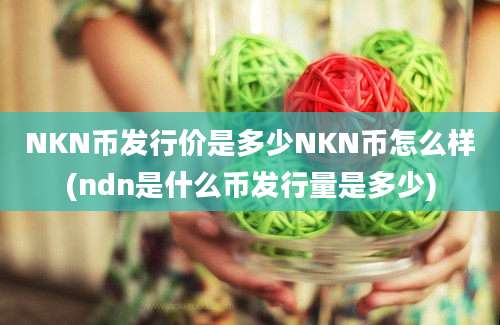 NKN币发行价是多少NKN币怎么样(ndn是什么币发行量是多少)