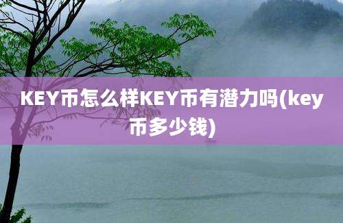 KEY币怎么样KEY币有潜力吗(key币多少钱)