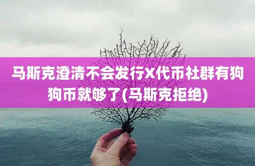 马斯克澄清不会发行X代币社群有狗狗币就够了(马斯克拒绝)