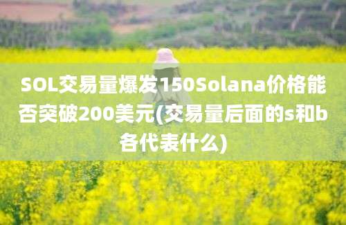 SOL交易量爆发150Solana价格能否突破200美元(交易量后面的s和b各代表什么)