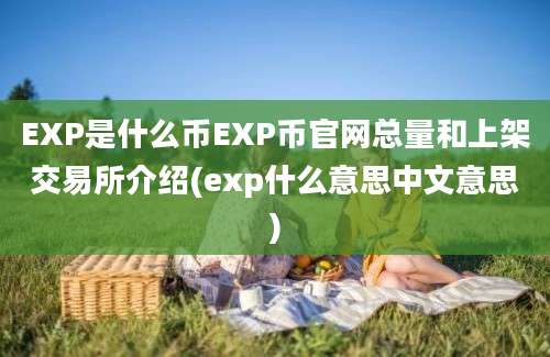 EXP是什么币EXP币官网总量和上架交易所介绍(exp什么意思中文意思)