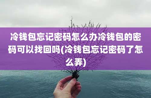 冷钱包忘记密码怎么办冷钱包的密码可以找回吗(冷钱包忘记密码了怎么弄)