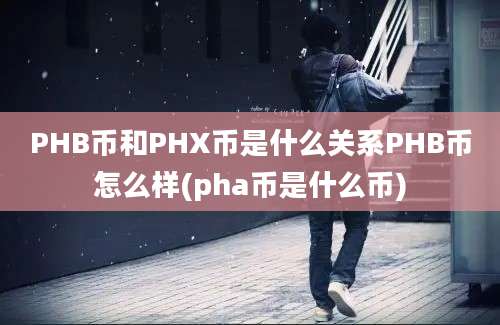 PHB币和PHX币是什么关系PHB币怎么样(pha币是什么币)