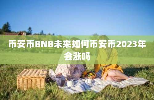 币安币BNB未来如何币安币2023年会涨吗