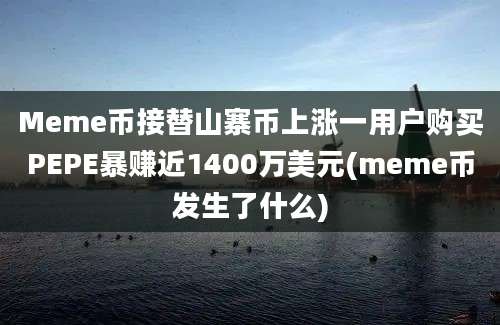 Meme币接替山寨币上涨一用户购买PEPE暴赚近1400万美元(meme币发生了什么)