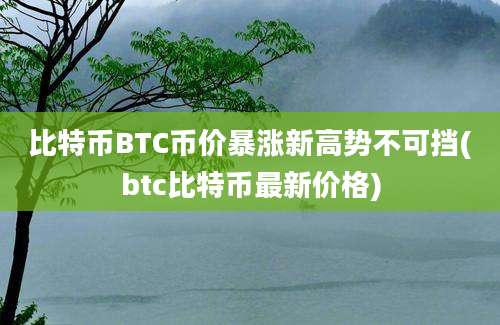 比特币BTC币价暴涨新高势不可挡(btc比特币最新价格)